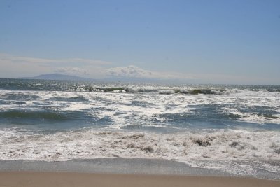 IMG_5848.jpg