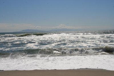 IMG_5940.jpg