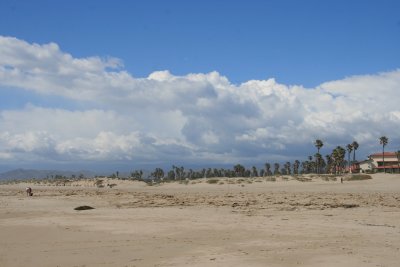IMG_6032.jpg