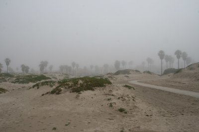 IMG_8072.jpg