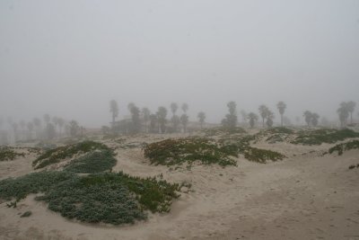 IMG_8075.jpg
