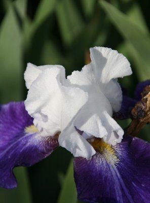 IMG_69610.jpg