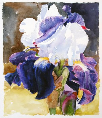Thou Are The Iris