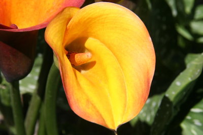 IMG_72420.jpg