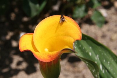 IMG_73840.jpg