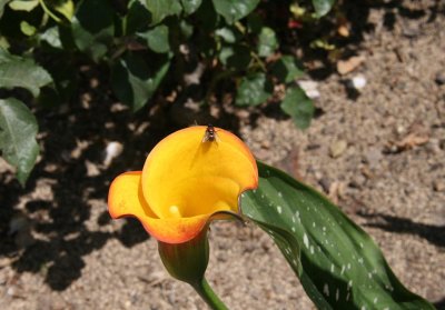 IMG_73820.jpg