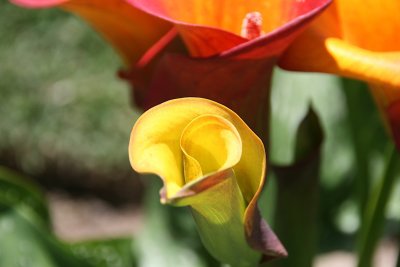 IMG_70420.jpg