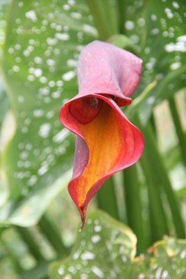 IMG_56240.jpg