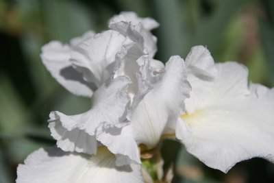 IMG_26070.jpg