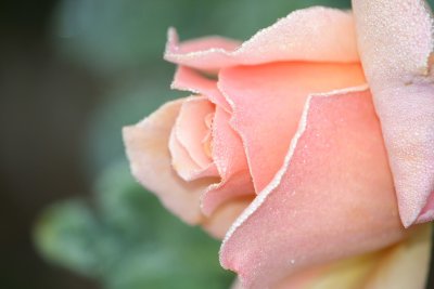 IMG_1007-x.jpg