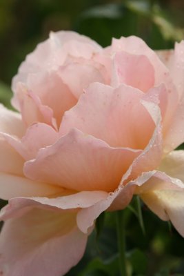 IMG_1584-xi.jpg