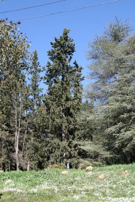 IMG_1492.jpg