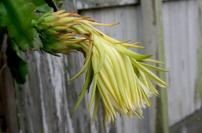 IMG_04060.jpg