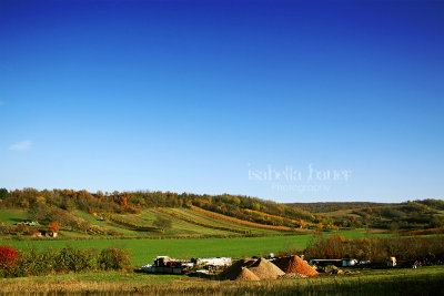 Sand Hills