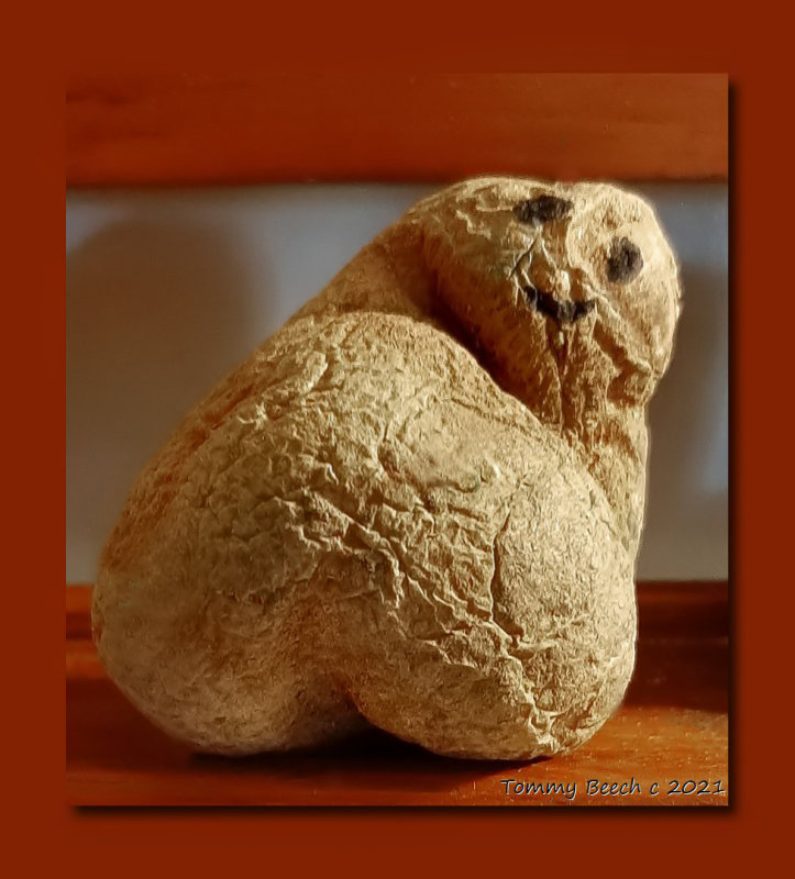 Mr Potato heads cousin,  Mr Potato Butt