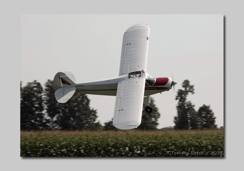 Piper Super Cub