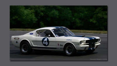 1965 Shelby GT 350 ~ In right hand curve
