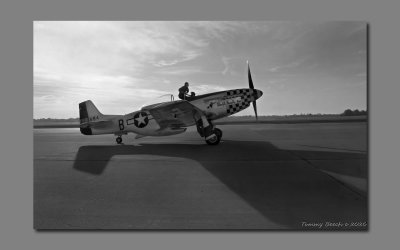 P-51D ~ Double Trouble Two
