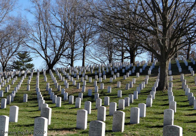 Deaths due to Covid19 in USA could now fill Arlington National Cemetery
