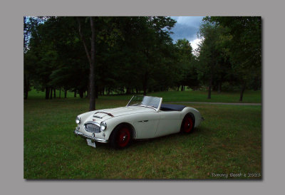 Austin Healey