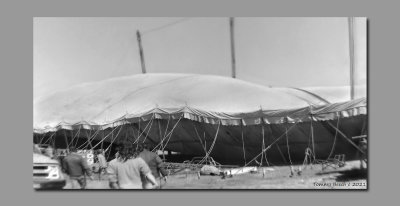 Raising the canvas *BIG TOP* at Clyde Beatty Cole Brothers circus ~ circa '70s