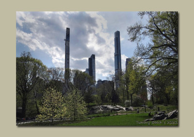 Natural and man made growth in New York City