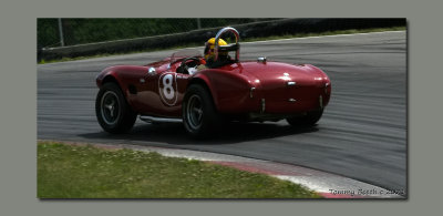 Cobra