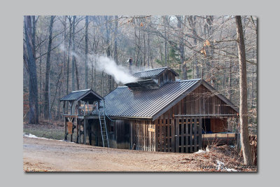 Spring... Time to make maple syrup