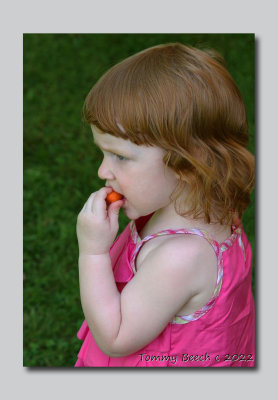 A Carrot Top eating a carrot