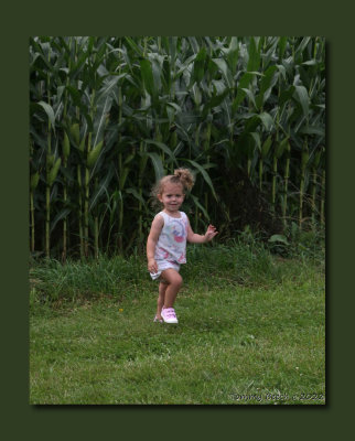 Happy with the corn crop