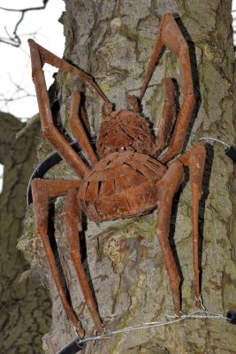 Histon Spider copy.jpg