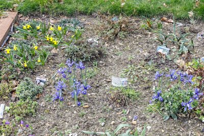 Raised Bed