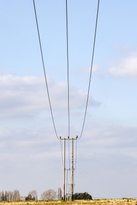 Field in Histon