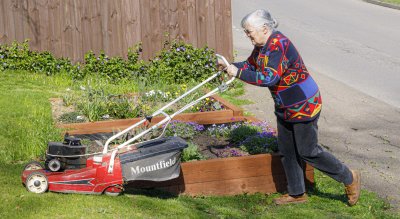 Mowing the lawn 1