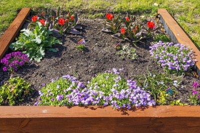 Judith's Flower bed