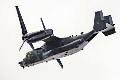 Osprey flying over Histon
