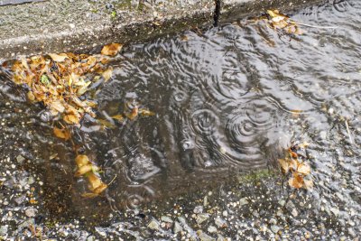 Yes the drain in the street is blocked....