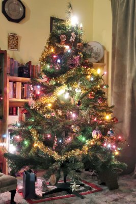 G7X_PAD_21-12-17 Christmas tree - decorated!