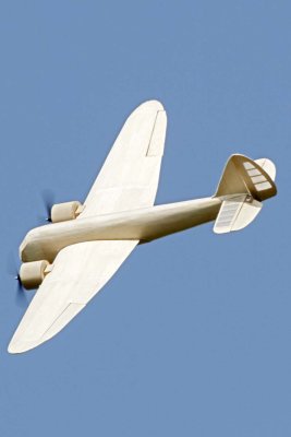 Blenheim_22-03-25 by James