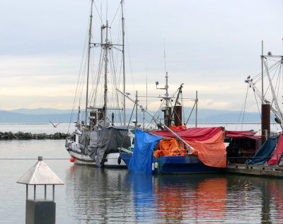 Steveston and Area