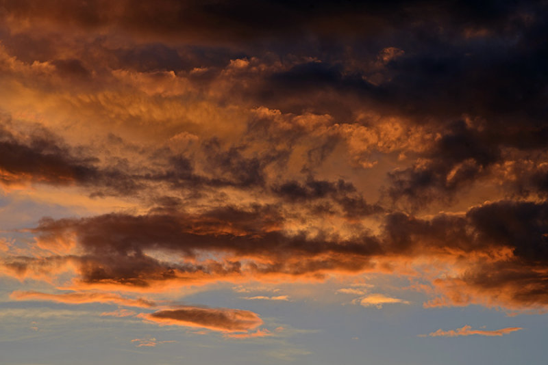g12/23/19323/2/169582521.J5W5rDuD.jpg