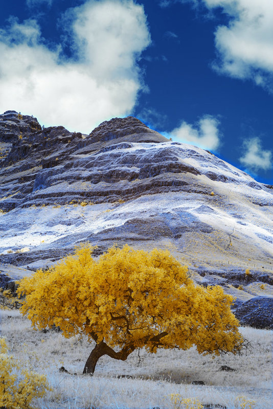 Dug Bar in Hell's Canyon.  590nm Infrared