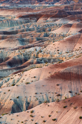 painted_desert