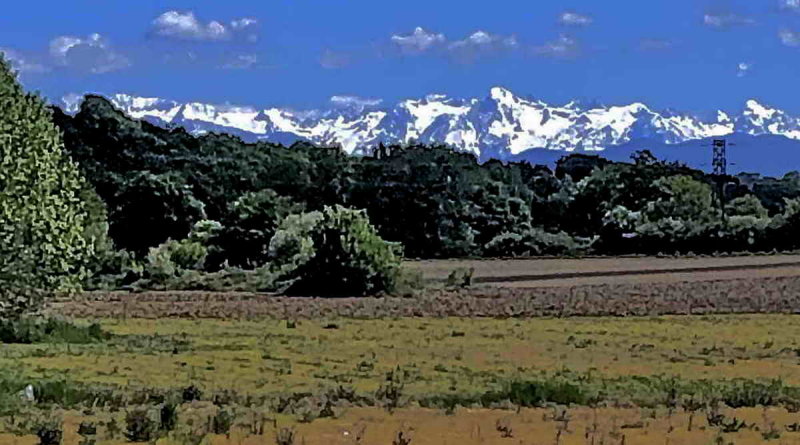 Entre Viellesgure et Lagor au mois de mai