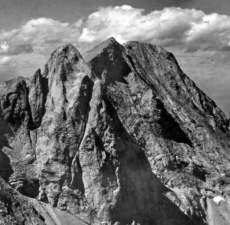 25/6/1950 Face Sud du Rognon de Ger.De profil  dte larte des Coutchets