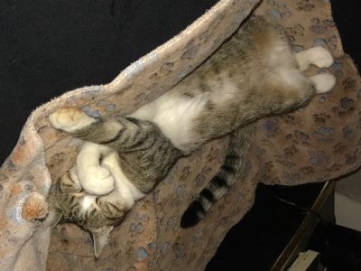 Laissez-moi dormir tranquille !