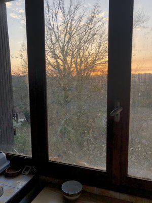 g12/23/346823/3/170430771.9PMNewYv.jpg