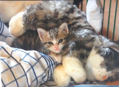 Nickie bébé et sa fausse maman