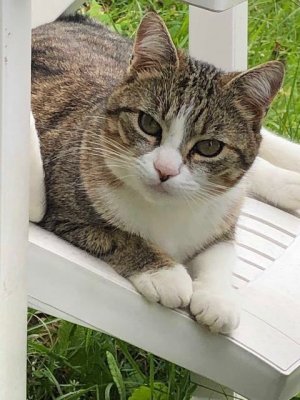 Nickie déjeune avec nous dans le jardin