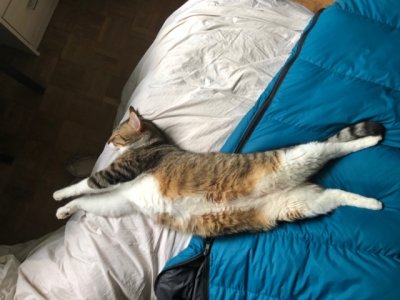 Mitsu, un grand dormeur